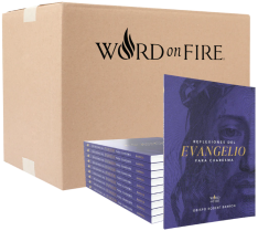 Reflexiones del Evangelio para Cuaresma 2026 - Box of 20 (Español, Spanish)